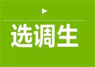 大公教育 濮陽軍轉(zhuǎn)干考試技術(shù)推廣服務(wù)，助力退役軍人成功轉(zhuǎn)型