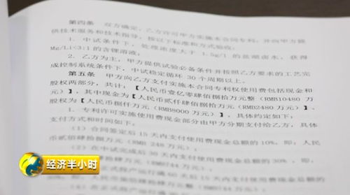從冷門到熱捧 一項價值億元的技術推廣奇跡